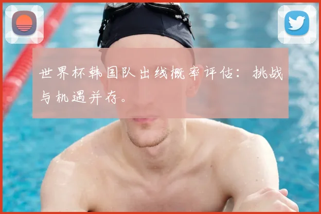 世界杯韩国队出线概率评估：挑战与机遇并存。
