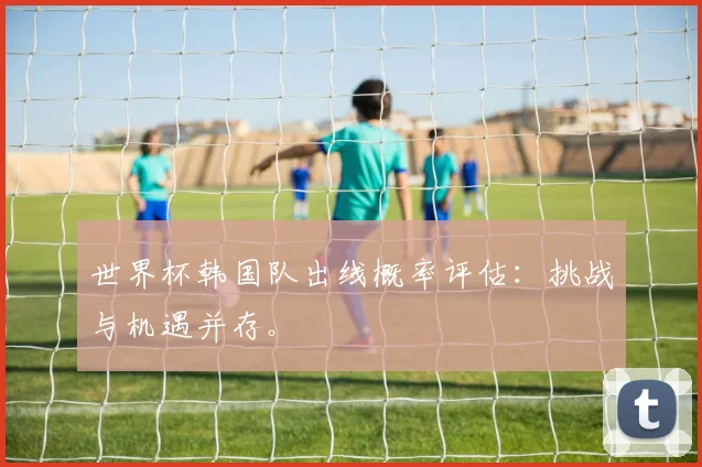 世界杯韩国队出线概率评估：挑战与机遇并存。